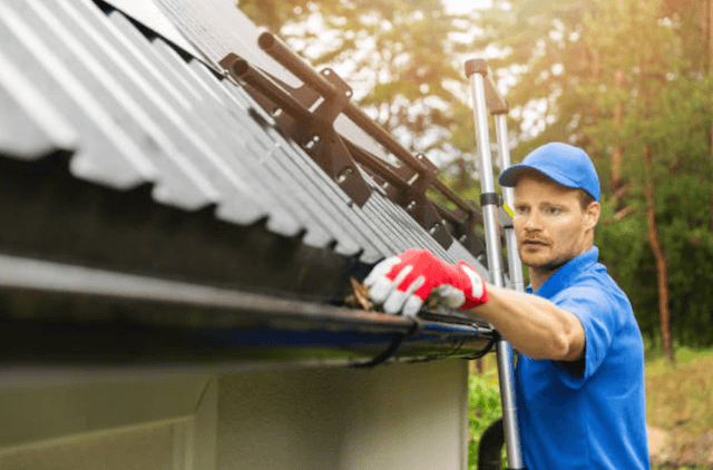 rochester gutter service